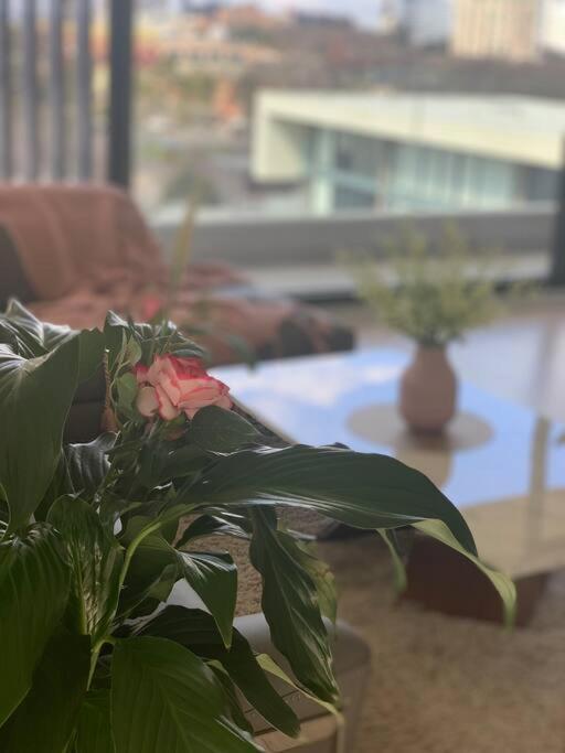 Carlton Stunning View Apartment 150M Away From University Of Melbourne City Exterior foto